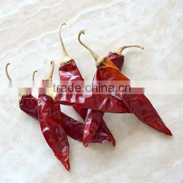 Xinjiang Sweet Paprika Chilli With or Without Stem photo-4