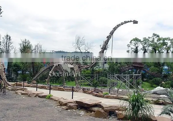 Museum Product Long Neck Dinosaur Skeleton photo-2