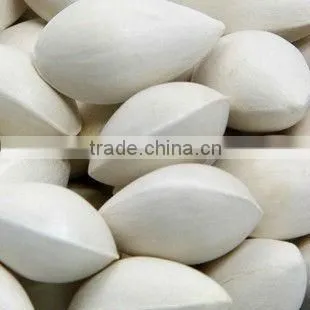 Dryed Ginkgo Seed