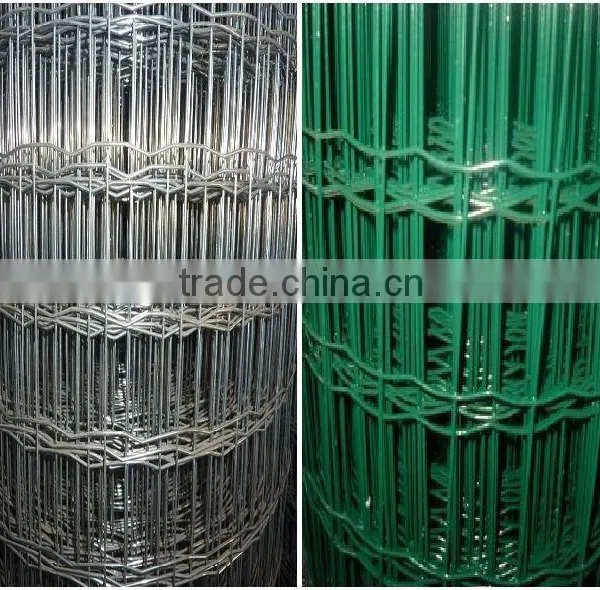 Holland Wire Mesh/euro Welded Wire Mesh Netting