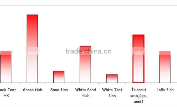 Sea Cucumber Whole Frozen photo-2