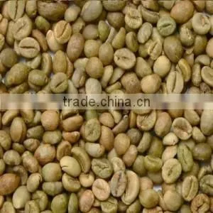 Best Quality Arabica Green Coffee Bean