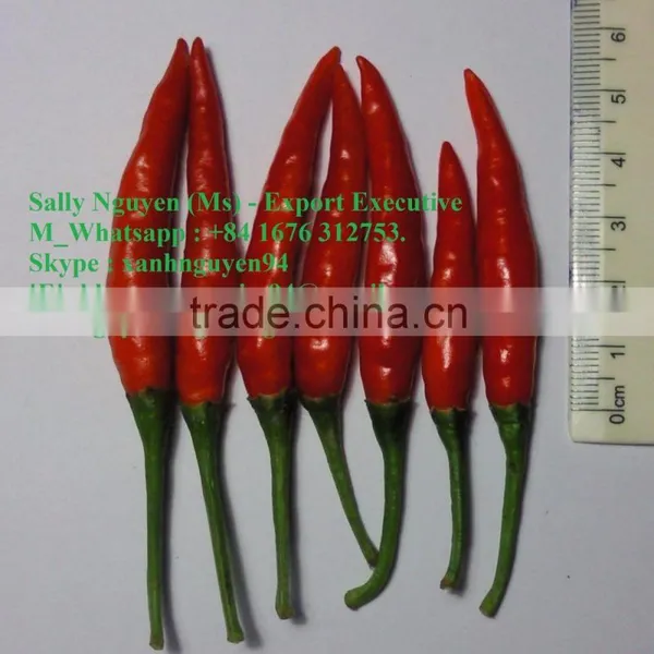 VIETNAM FRESH CHILLI