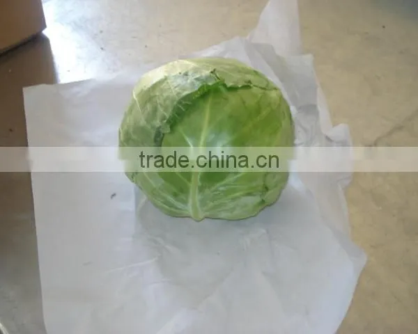 Round Cabbage/Flat Cabbage photo-3