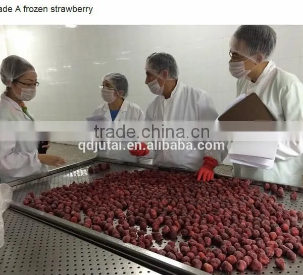 IQF Frozen Strawberry in Bulk photo-4