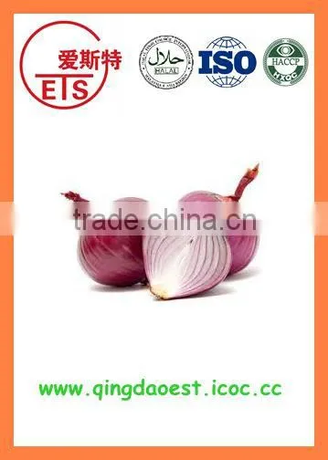 Best Quality Fresh Products Red/yellow Onion From China photo-3