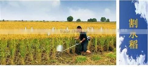 Hot Sell Rice Harvester Machine China Supplier photo-5