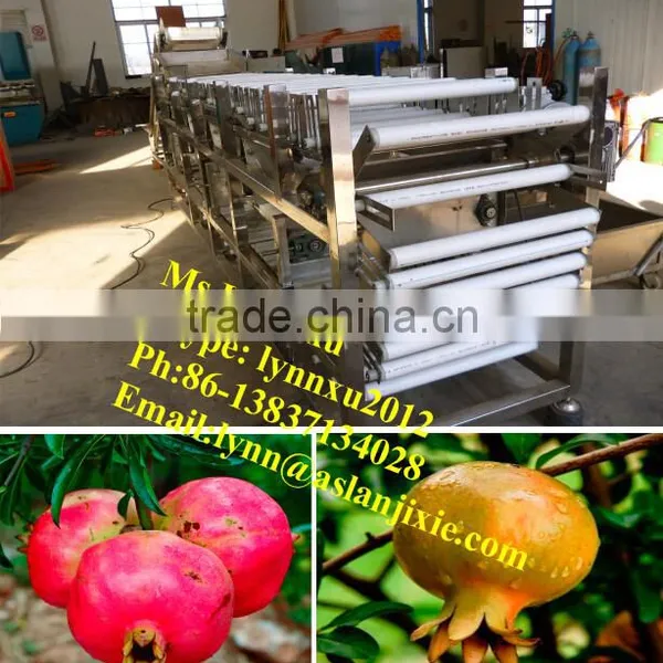 fruit kiwi grading machine /pomegranate sorting machine