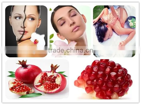 Pomegranate Seed Oil for Cosmetics Best photo-2