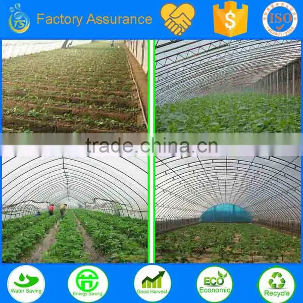 TS Irrigation Micro Irrigation System Hot House Irrigation