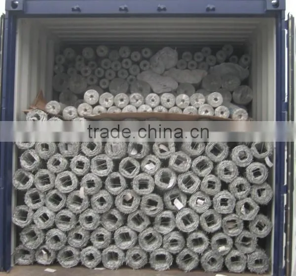 Galvanized Welded Wire Mesh/Electro Galvanized Welded Wire Mesh/Hot Dipped Galvanized Welded Wire Mesh photo-3