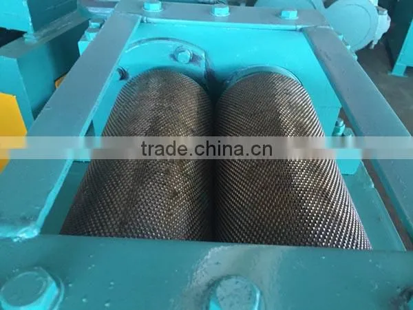 Double Roller Compaction Granulator Manufacturer photo-3