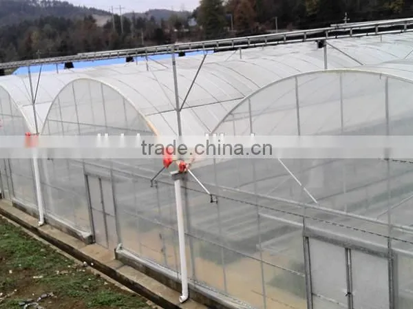 Factory Price Multi Functional Polythene Film Greenhouse For Vegetables/Fruits/Hydroponics photo-6