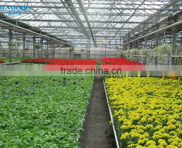 Large Multi-span PE Film Green House Agriculture & Commercial Used Greenhouse photo-5