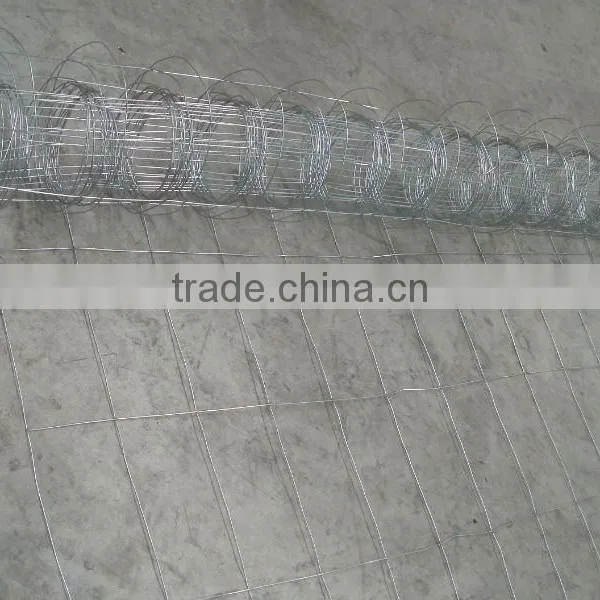 Galvanized Welded Wire Mesh