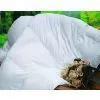 White Duck Down Comforter photo-3