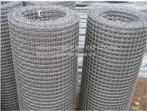 Stainless Steel Wire Mesh photo-2