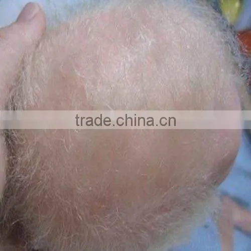Doll Wigs