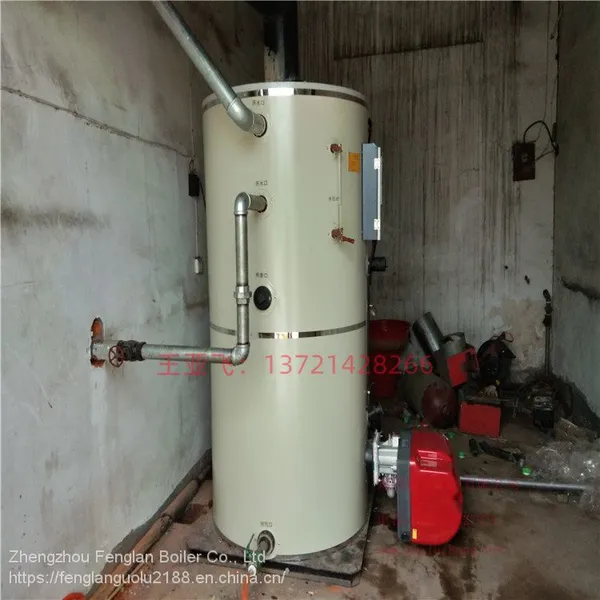 Supply of Gas Hot Water Boiler for Heating Small Rooms in Russia photo-3