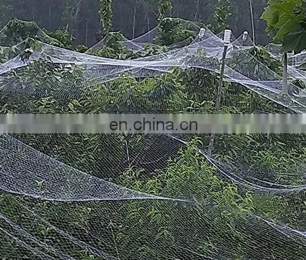 Low Price High Quality Agriculture Anti Hail Net Shade Net for Agriculture photo-4