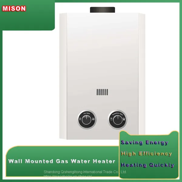 Electric Instant Kitchen Water Heater Gas Geysers Electric Water Heater Boiler for Shower