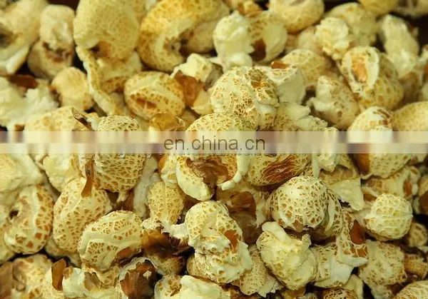 50kg per Hour Puffed Food Makers/Pressure Cooker Puffing Machine photo-5
