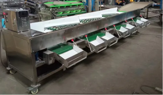 Green Lime Fruit Sorting Grading Machine Sorter Grader Machine Line Classifying Machines photo-5