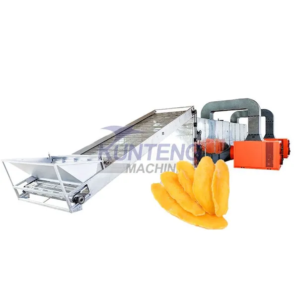 Continuous Seafood Mango Pumpkin Seed Mulberry Leaf Mushroom Mesh Belt Dryer EPC