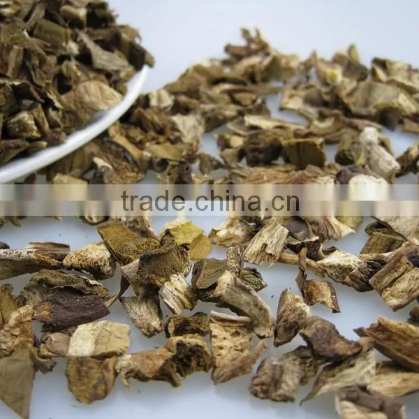 Fibrin Dried White FUNGUS MUSHROOM 2016 photo-4