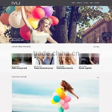 Freelance Photography photo-4