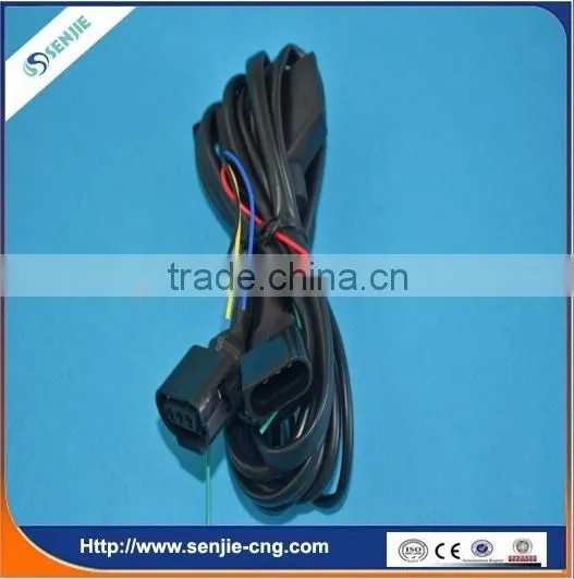 Cng Lpg Timing Advance Processor LEB Timing Advance Processor photo-3