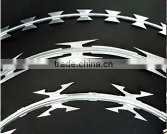Security Fencing Razor Barbed Wire/razor Combat Wire/safety Razor Wire photo-2