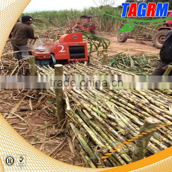 6BZ-5 Sugarcane Top Removing Machine/sugarcane Leaf Removing Machine for Sale photo-2