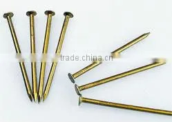 Vinyl Coating Nails,factory