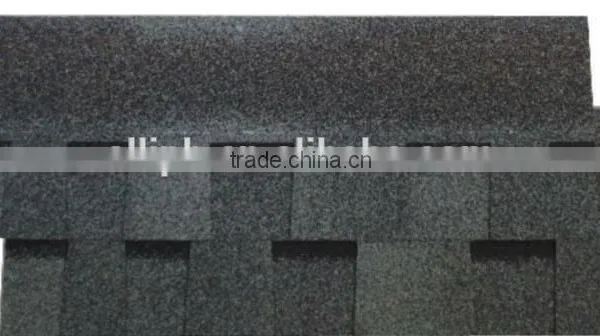 SBS Waterproof Membrane for Asphalt Shingles photo-2
