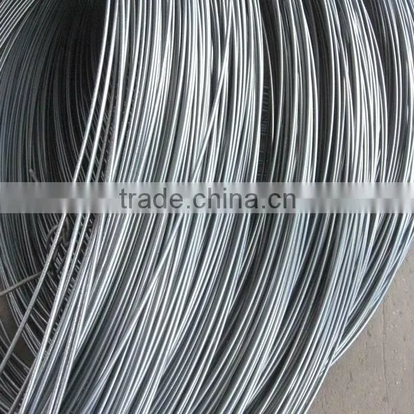 5.5mm Wire Rod in Coils