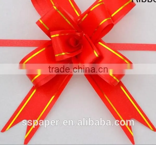 2016 Hotsale Product With Stock Silk Plastic Ribbon for Retailer photo-3