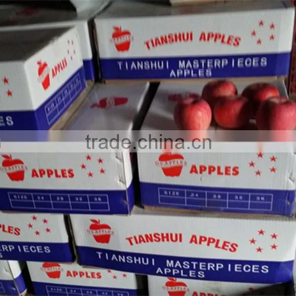 New Season Fuji Apples With Cheap Price From Fruits Factory photo-2