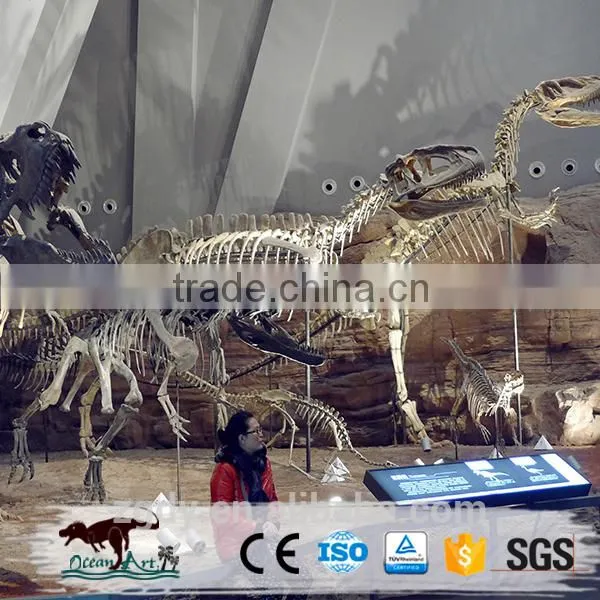 Life-Size Jurassic Park Dinosaur Fossil photo-3