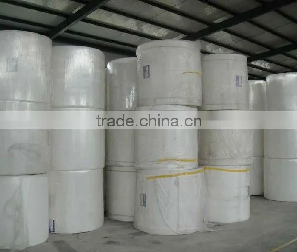 Polyester Mats for Waterproofing Membrane photo-2