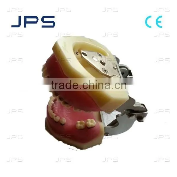 Silica Gel Periodontic Teeth Mould P15FE-901C-QF 03 For Practice