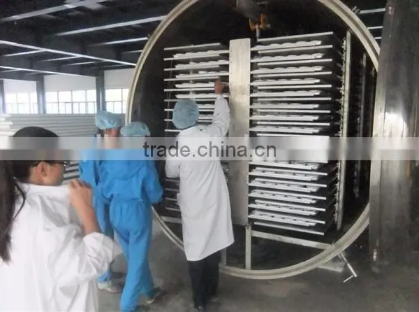 New Condition and Dryer Type Food Lyophilizer photo-2