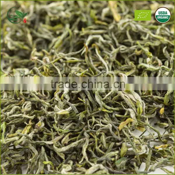 2016 Hangzhou Maofeng Chinese Green Tea Supplier photo-2
