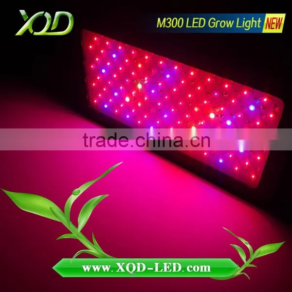 Branches of Agriculture Powerful Led Grow Lights 3w Chip 300w Red Ir uv Led the Lamp photo-2