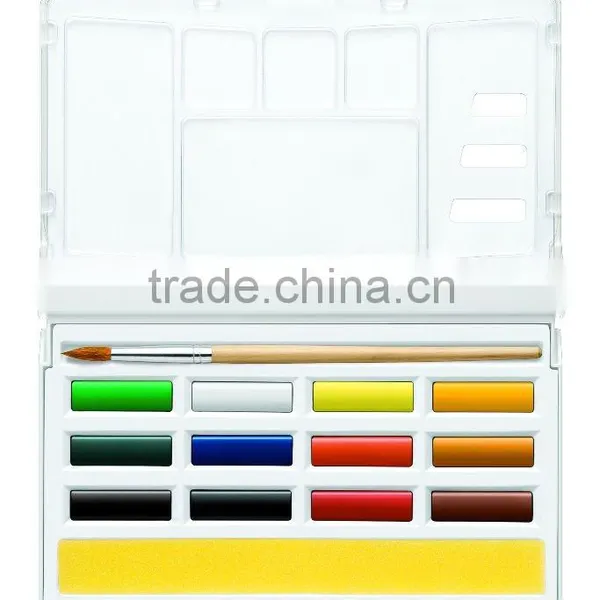 Professional Watercolor Set - 12 COLOR SET