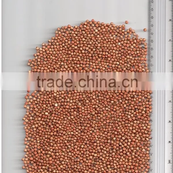 RED SORGHUM