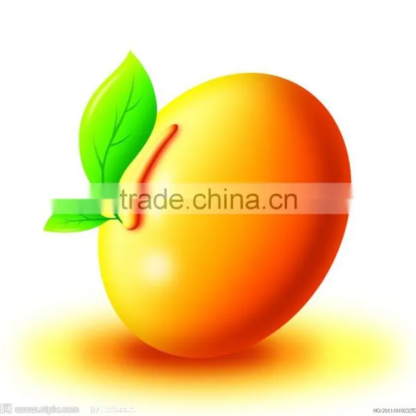GMP Natural High Quality Phosphatidylserine(PS) From Soybean Extract photo-3