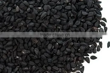 Black Cumin OIl photo-5