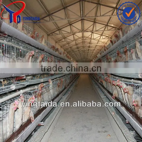 Chicken Coup