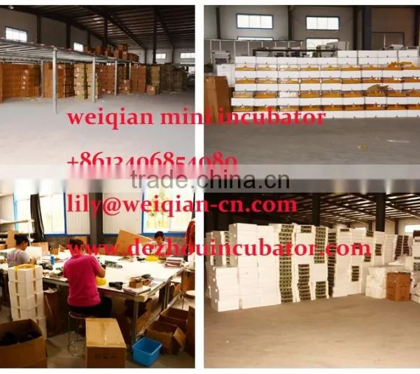 2016 Hotselling Automatic Egg Incubator,mini Egg Incubator Hotsale in UAE photo-5